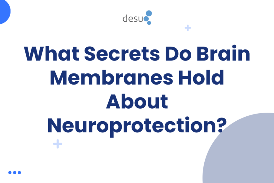 What Secrets Do Brain Membranes Hold About Neuroprotection?