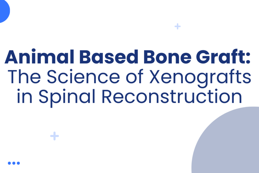 Animal Based Bone Graft The Science of Xenografts in Spinal Reconstruction