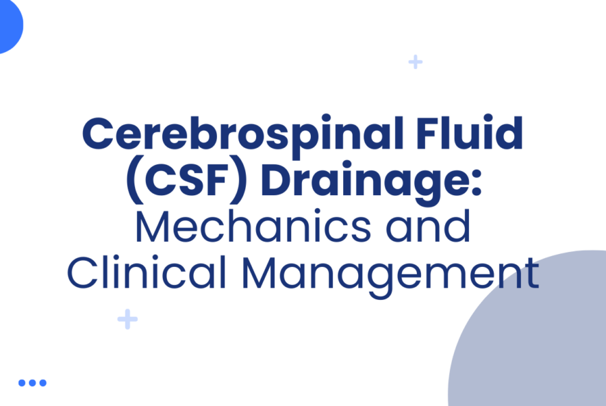 Cerebrospinal Fluid (CSF) Drainage Mechanics and Clinical Management